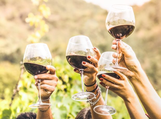 Brindis con copas de vino tinto en el viñedo