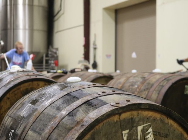 Barricas en la nave de la bodega